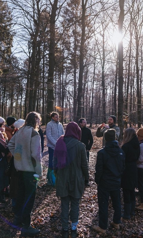 Een verdiepende middag in de bossen onder Breda met stilte, natuur en reflectie over maat, waarheid en begrenzing in je leven en werk.