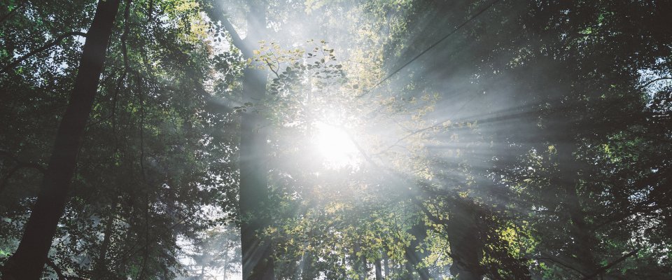 Hoe de zomer uitnodigt tot grootsheid, zodat je jouw rol in de wereld vervult.