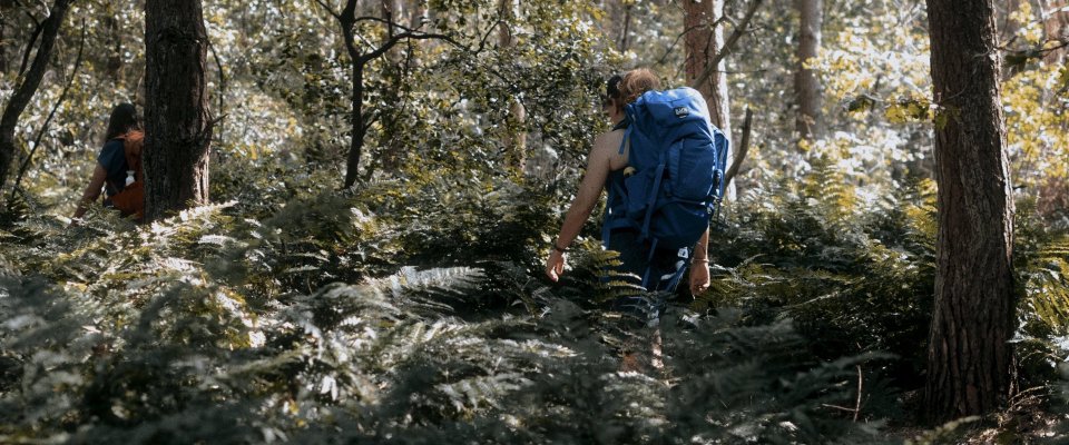 A five-day deepening walking journey through the nature reserves along the Dutch-Belgian border, including a two-day silent retreat at the Trappist monastery Westmalle Abbey.