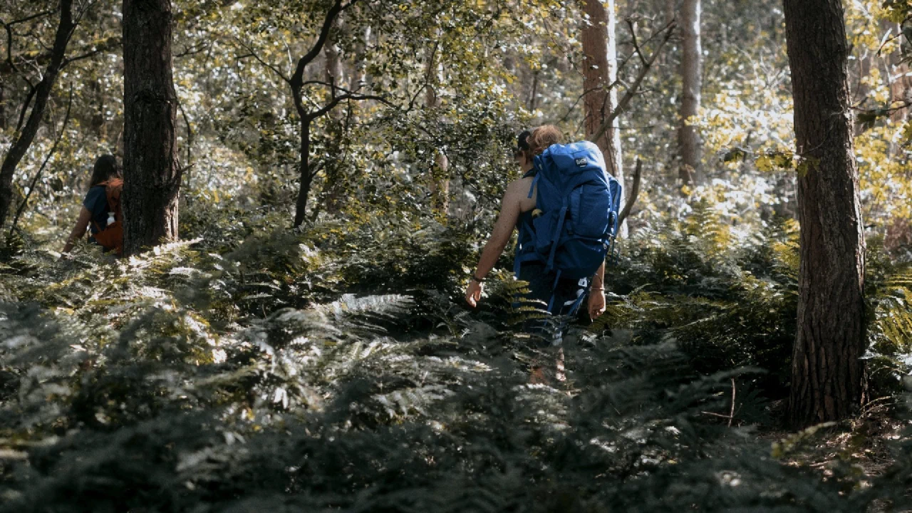 Een vijfdaagse verdiepende wandeltocht door de natuurgebieden van onze zuidergrens, inclusief een tweedaagse stilteretraite in het trappistenklooster Abdij Westmalle.