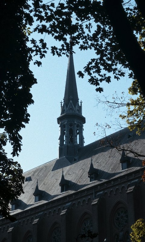 A five-day deepening walking journey through the nature reserves along the Dutch-Belgian border, including a two-day silent retreat at the Trappist monastery Westmalle Abbey.