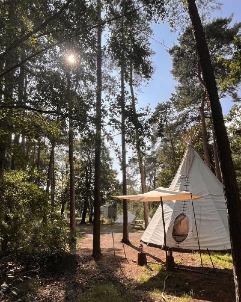 Een verdiepende middag in de bossen onder Breda met stilte, natuur en reflectie over maat, waarheid en begrenzing in je leven en werk.